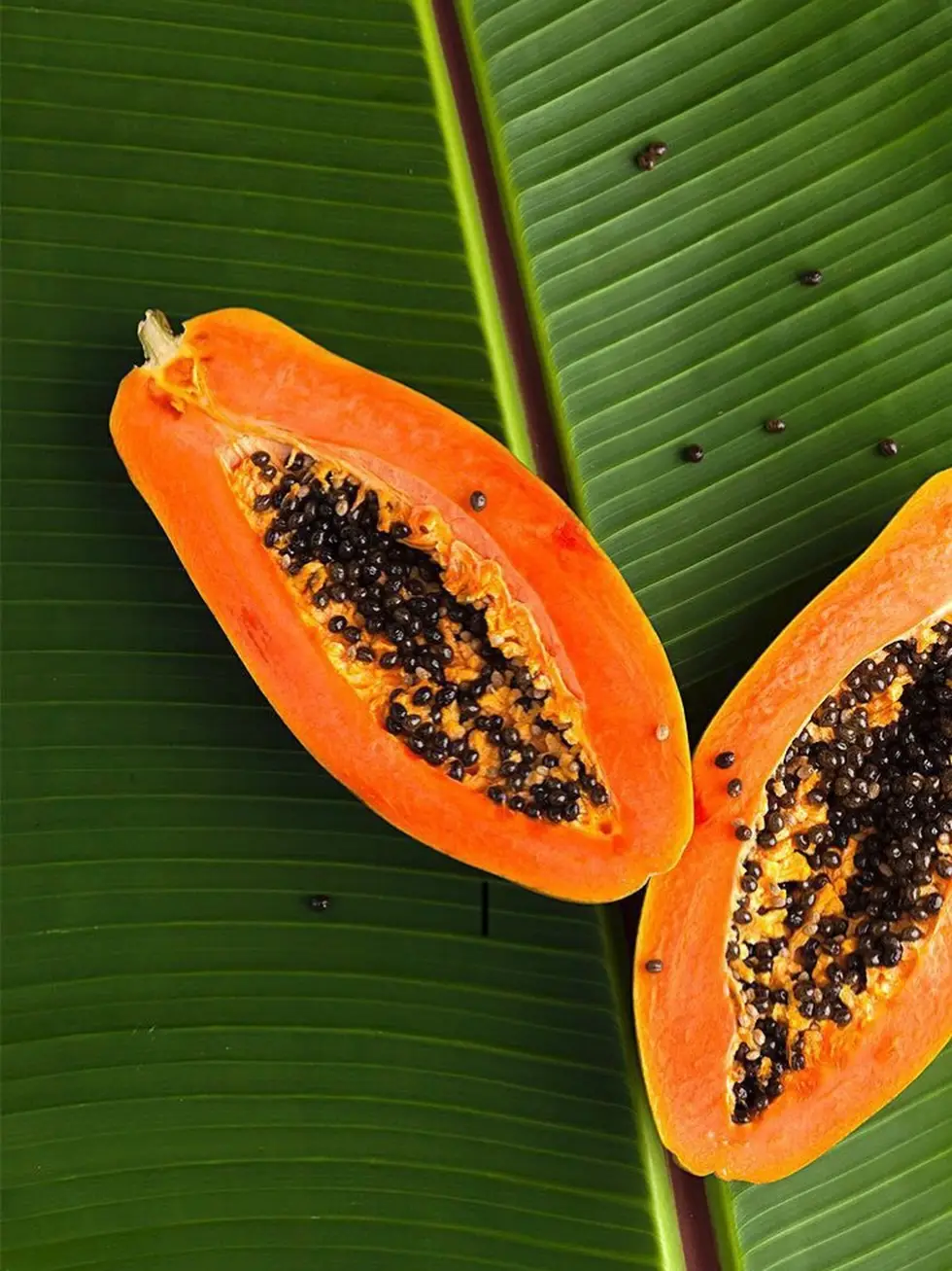 Papaye fraîche, actif naturel Bio'Na Product